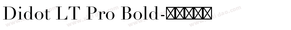 Didot LT Pro Bold字体转换